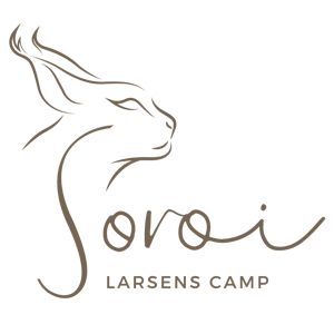 - Soroi Collection - Soroi Collection