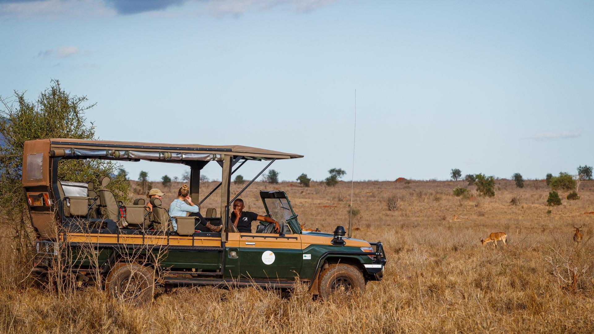 Soroi Lions Bluff Lodge - Game Drive Experience - Soroi Collection - Soroi Collection