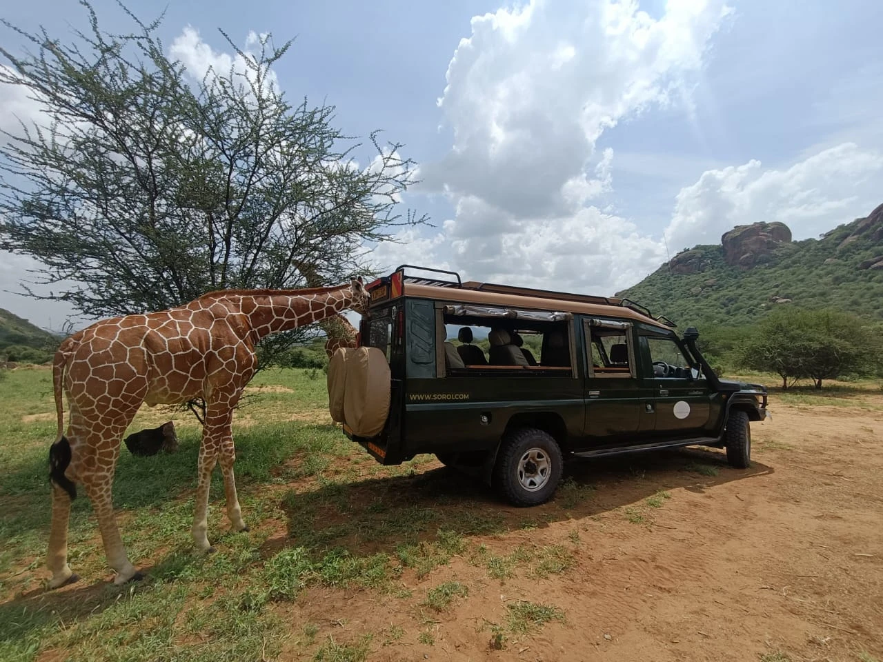 Soroi Larsens Camp Game Drive - Open Canvas Vehicle - Soroi Collection - Soroi Collection - Soroi Collection - Soroi Collection