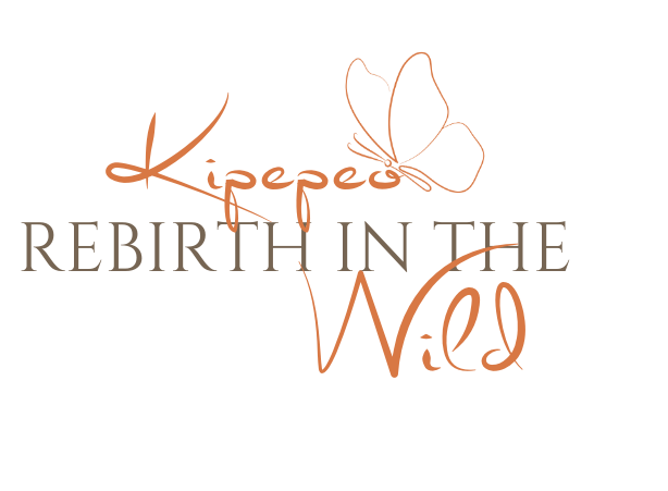 Soroi Cheetah Tented Camp - LUMO - Tsavo West - Yoga Retreat - Soroi Collection - Soroi Collection